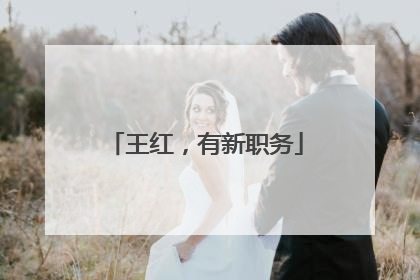 王红，有新职务