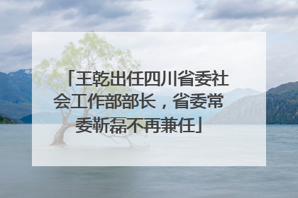 王乾出任四川省委社会工作部部长，省委常委靳磊不再兼任