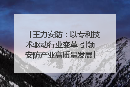 王力安防：以专利技术驱动行业变革 引领安防产业高质量发展