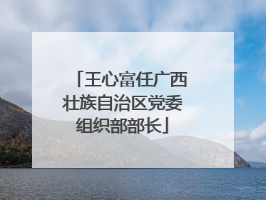 王心富任广西壮族自治区党委组织部部长