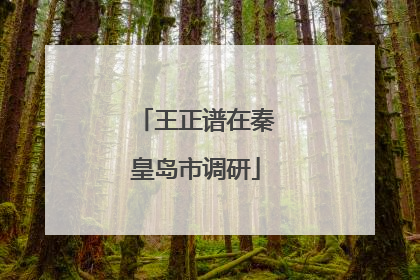 王正谱在秦皇岛市调研