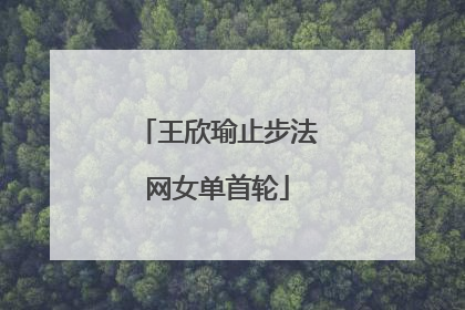 王欣瑜止步法网女单首轮