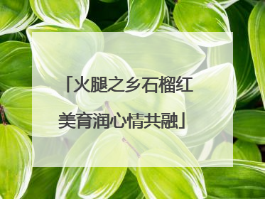 火腿之乡石榴红 美育润心情共融