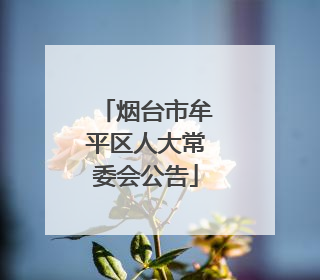 烟台市牟平区人大常委会公告