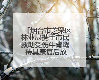 烟台市芝罘区林业局携手市民救助受伤牛背鹭 待其康复后放归自然