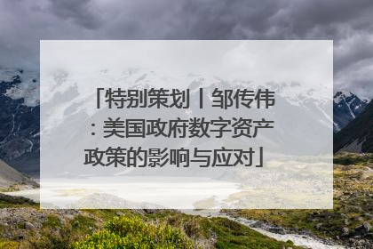 特别策划丨邹传伟：美国政府数字资产政策的影响与应对