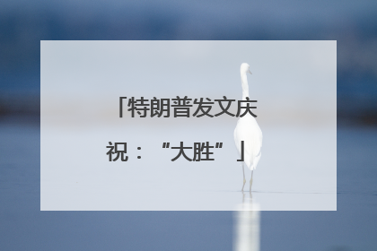 特朗普发文庆祝：“大胜”