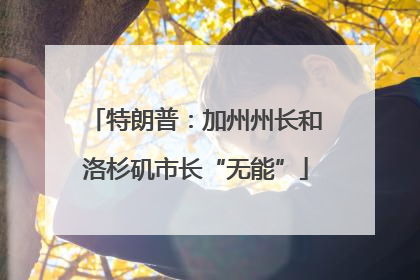 特朗普：加州州长和洛杉矶市长“无能”