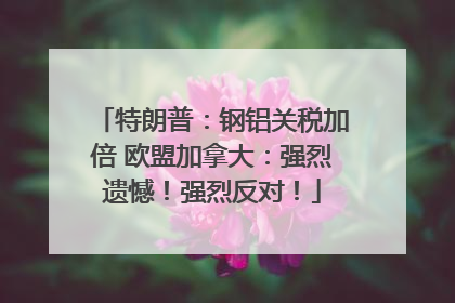 特朗普：钢铝关税加倍 欧盟加拿大：强烈遗憾！强烈反对！