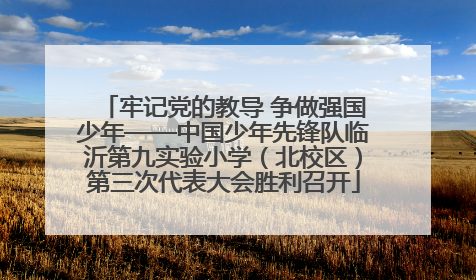 牢记党的教导 争做强国少年——中国少年先锋队临沂第九实验小学（北校区）第三次代表大会胜利召开