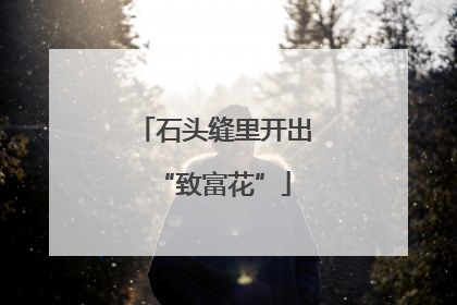 石头缝里开出“致富花”