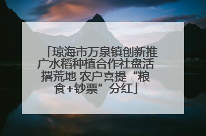 琼海市万泉镇创新推广水稻种植合作社盘活撂荒地 农户喜提“粮食+钞票”分红