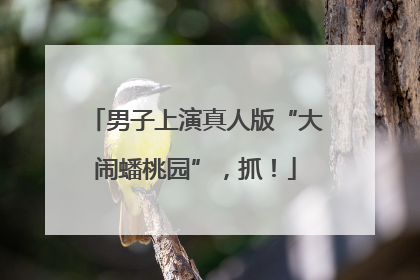 男子上演真人版“大闹蟠桃园”，抓！
