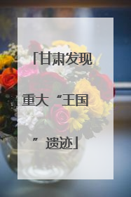 甘肃发现重大“王国”遗迹