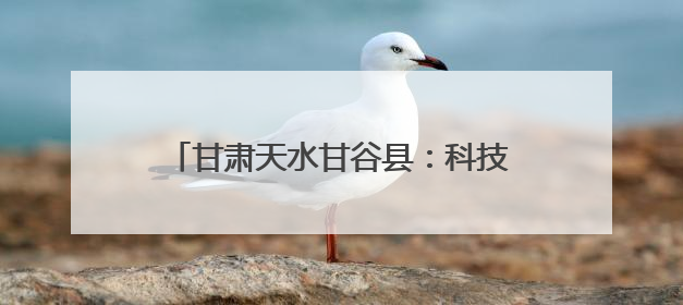 甘肃天水甘谷县：科技赋能辣椒全产业链发展