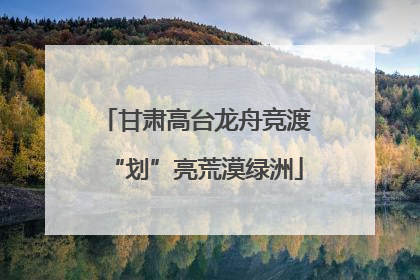 甘肃高台龙舟竞渡“划”亮荒漠绿洲