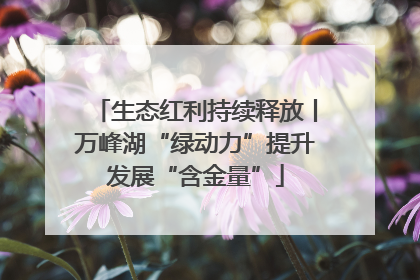 生态红利持续释放丨万峰湖“绿动力”提升发展“含金量”
