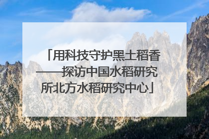 用科技守护黑土稻香——探访中国水稻研究所北方水稻研究中心