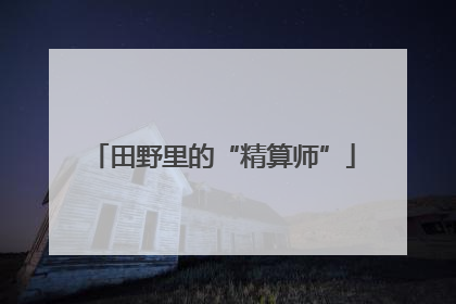 田野里的“精算师”