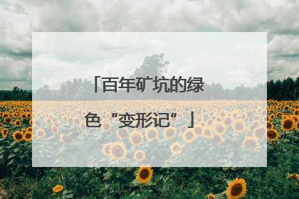 百年矿坑的绿色“变形记”