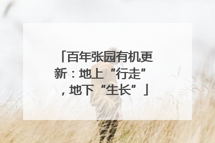 百年张园有机更新：地上“行走”，地下“生长”