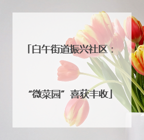 白午街道振兴社区：“微菜园”喜获丰收