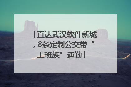 直达武汉软件新城，8条定制公交带“上班族”通勤