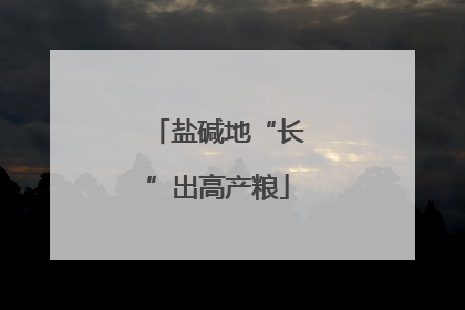盐碱地“长”出高产粮