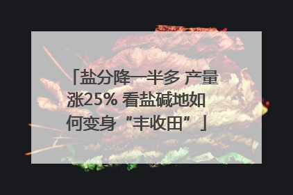 盐分降一半多 产量涨25% 看盐碱地如何变身“丰收田”