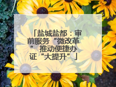 盐城盐都：审前服务“微改革” 推动便捷办证“大提升”