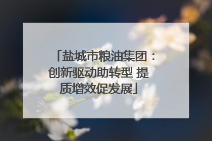 盐城市粮油集团：创新驱动助转型 提质增效促发展