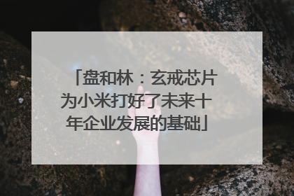 盘和林：玄戒芯片为小米打好了未来十年企业发展的基础