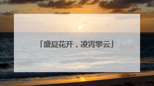 盛夏花开，凌霄攀云