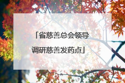 省慈善总会领导调研慈善发药点