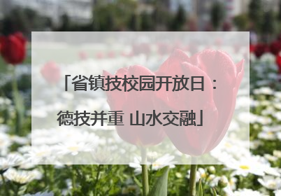 省镇技校园开放日：德技并重 山水交融