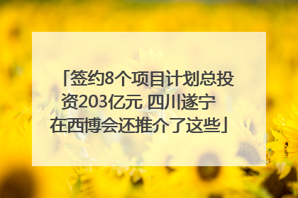 签约8个项目计划总投资203亿元 四川遂宁在西博会还推介了这些