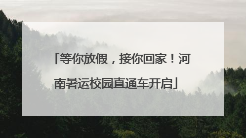 等你放假，接你回家！河南暑运校园直通车开启