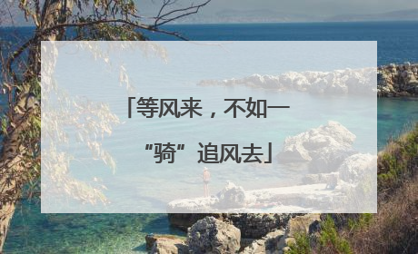等风来，不如一“骑”追风去