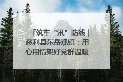 筑牢“汛”防线｜慈利县东岳观镇：用心用情架好党群温暖悠长的“连心桥”