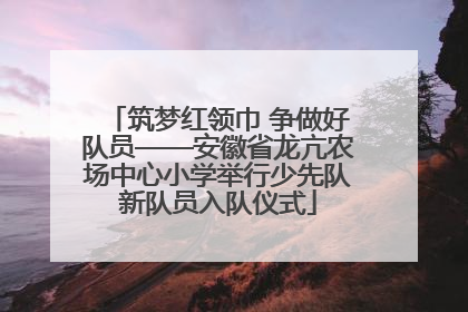 筑梦红领巾 争做好队员——安徽省龙亢农场中心小学举行少先队新队员入队仪式