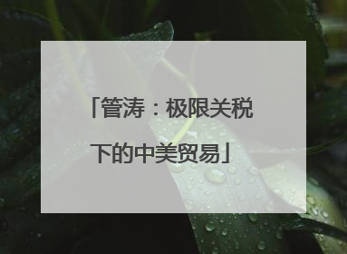 管涛：极限关税下的中美贸易
