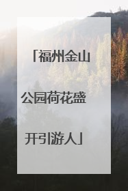 福州金山公园荷花盛开引游人