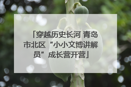穿越历史长河 青岛市北区“小小文博讲解员”成长营开营