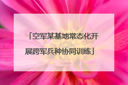 空军某基地常态化开展跨军兵种协同训练