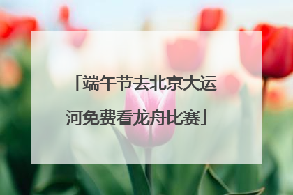 端午节去北京大运河免费看龙舟比赛