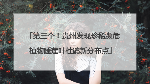 第三个！贵州发现珍稀濒危植物睡莲叶杜鹃新分布点