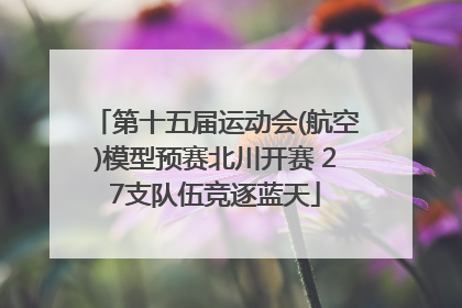 第十五届运动会(航空)模型预赛北川开赛 27支队伍竞逐蓝天