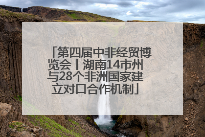 第四届中非经贸博览会丨湖南14市州与28个非洲国家建立对口合作机制