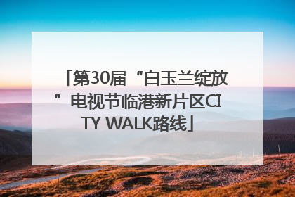 第30届“白玉兰绽放”电视节临港新片区CITY WALK路线