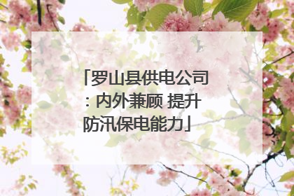 罗山县供电公司：内外兼顾 提升防汛保电能力